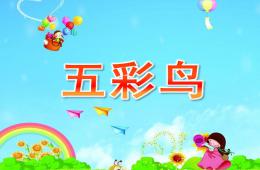 中班美術(shù)五彩鳥PPT課件