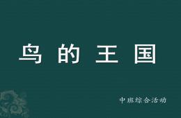 中班綜合活動小鳥的王國PPT課件