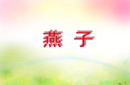 幼兒園動物兒歌燕子PPT課件配音音樂