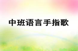 中班語言手指歌PPT課件