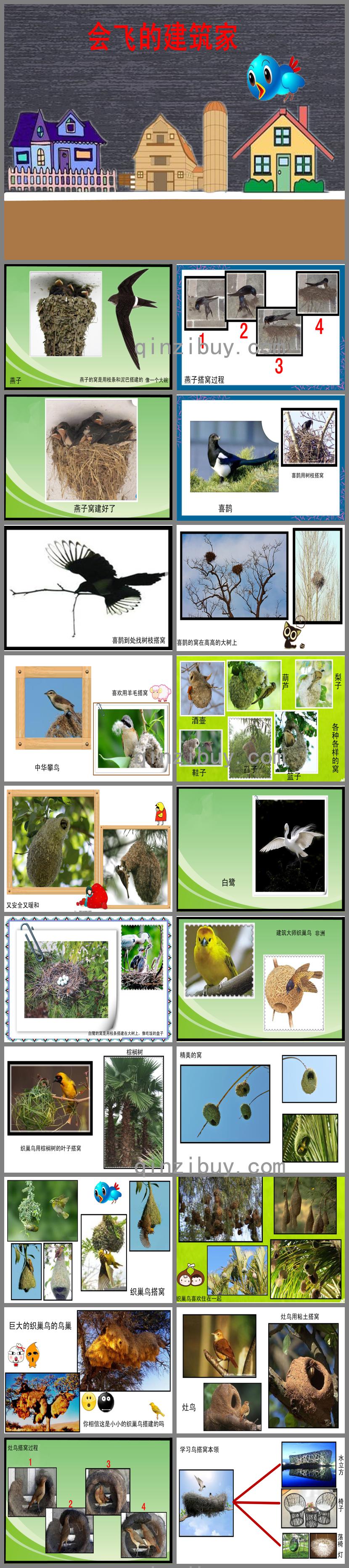中班科學會飛的建造師PPT課件