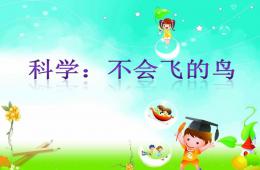中班科學活動不會飛的鳥PPT課件