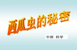 中班科學西瓜蟲的秘密PPT課件