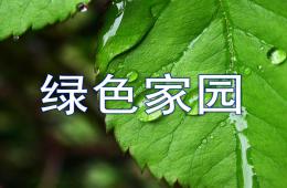 大班社會綠色家園PPT課件