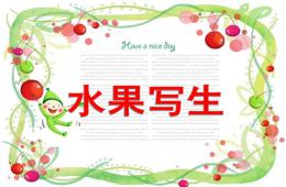 大班美術(shù)水果寫生PPT課件