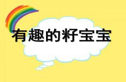 中班科學有趣的籽寶寶PPT課件