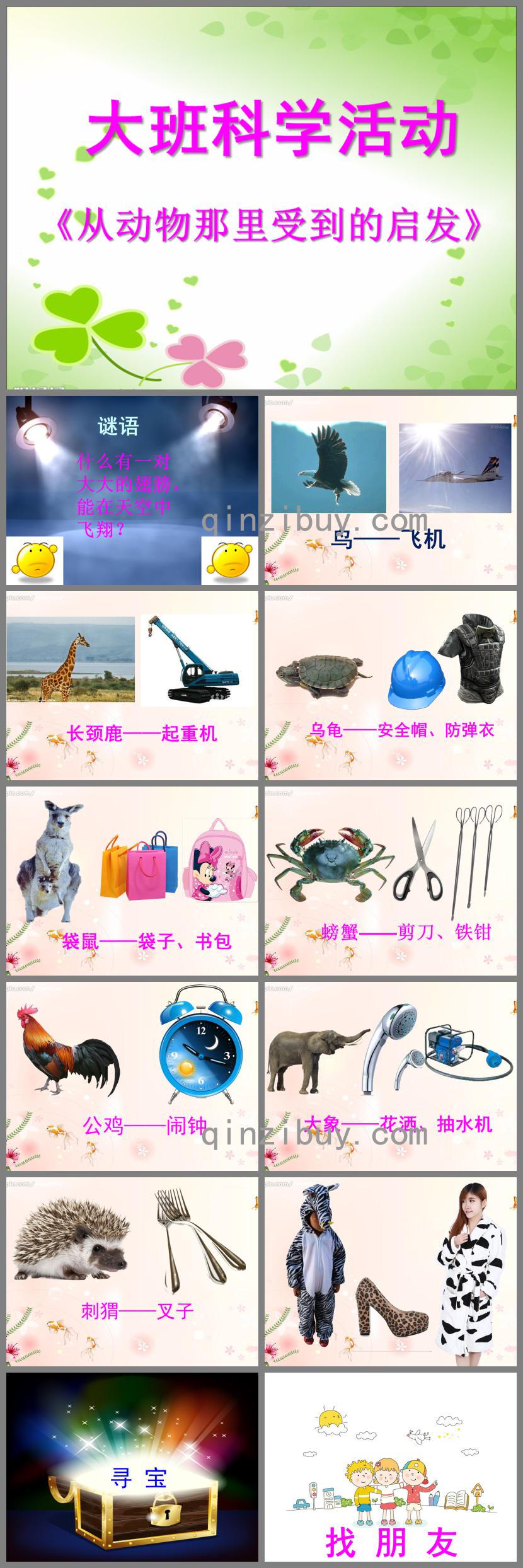 大班科學從動物那里受到的啟發(fā)PPT課件