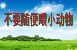 中班社會禮儀不要隨便喂小動物PPT課件