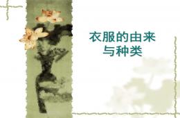 大班社會衣服的由來與種類PPT課件