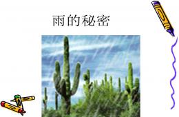 中班雨的秘密PPT課件