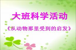 大班科學從動物那里受到的啟發(fā)PPT課件