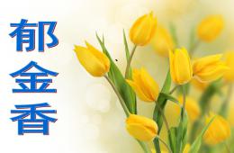 中班創意美術郁金香PPT課件