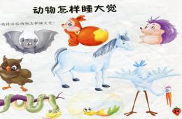中班科學動物怎樣睡大覺PPT課件