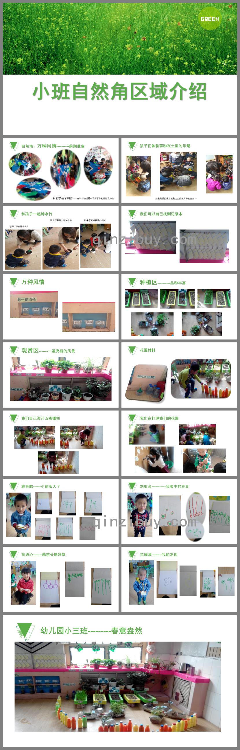 幼兒園小班自然角區(qū)域介紹PPT課件