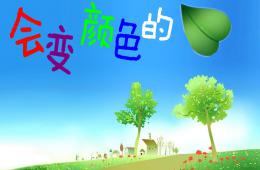 中班科學會變顏色的樹葉PPT課件