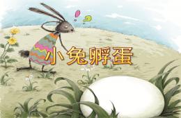 中班故事小兔孵蛋PPT課件