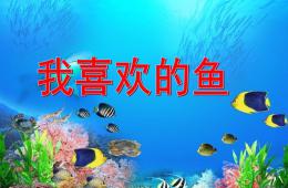 中班美術我喜歡的魚PPT課件