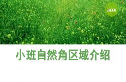 幼兒園小班自然角區域介紹PPT課件