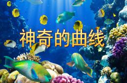 中班美術神奇的曲線PPT課件