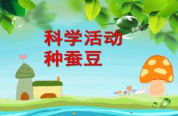 中班科學優質課種蠶豆PPT課件