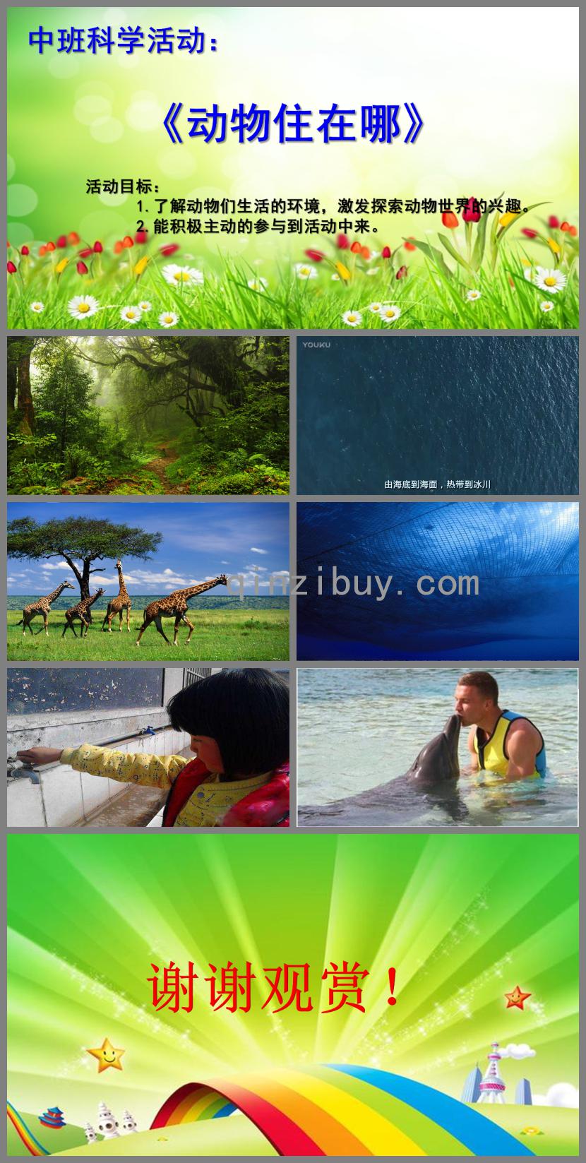 中班科學動物住在哪PPT課件