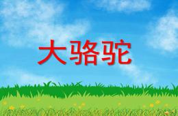 幼兒園動物兒歌大駱駝PPT課件配音音樂