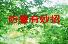 小班健康防暑有妙招PPT課件