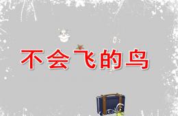 中班科學不會飛的鳥PPT課件