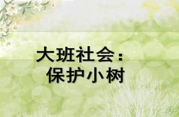 大班社會(huì)保護(hù)小樹PPT課件