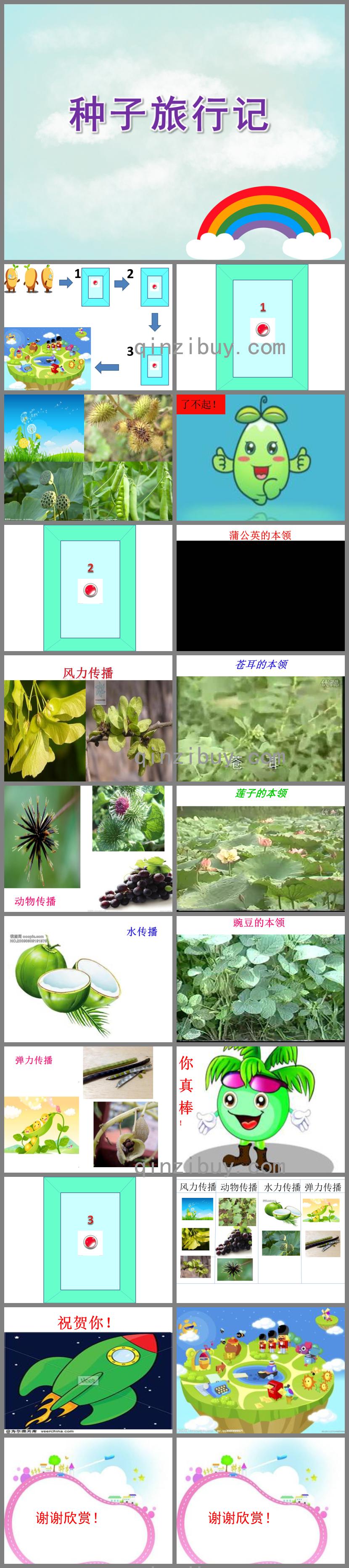 中班科學(xué)種子旅行記PPT課件