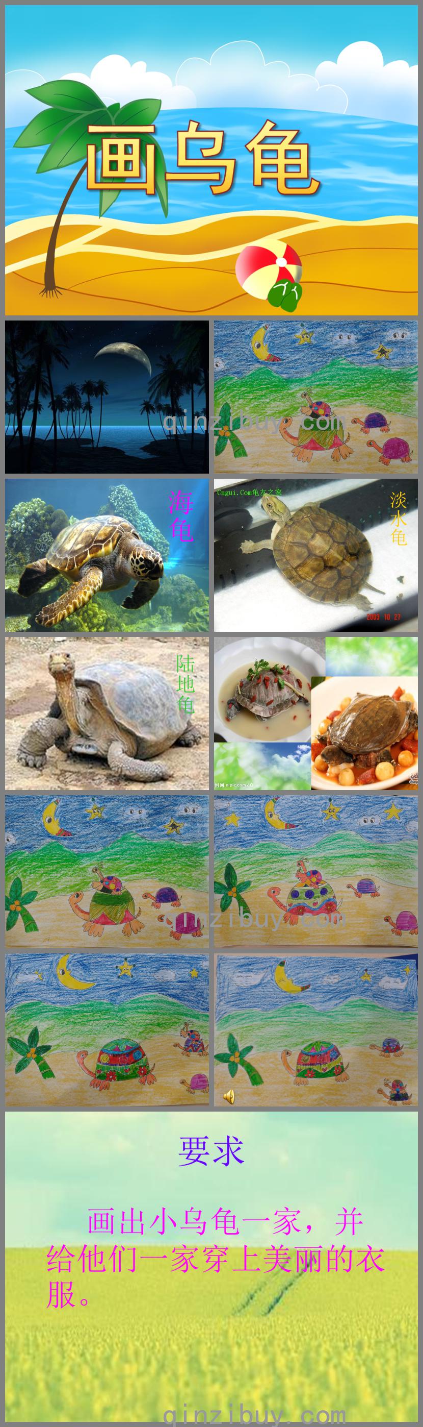 幼兒園美術畫烏龜PPT課件