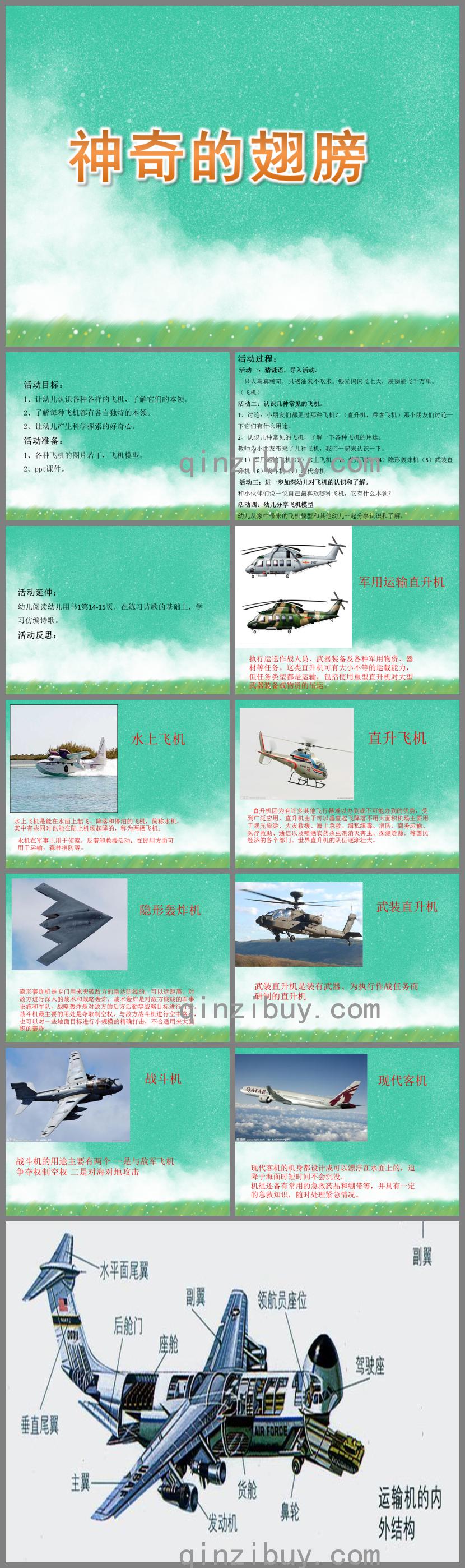 中班科學神奇的翅膀PPT課件