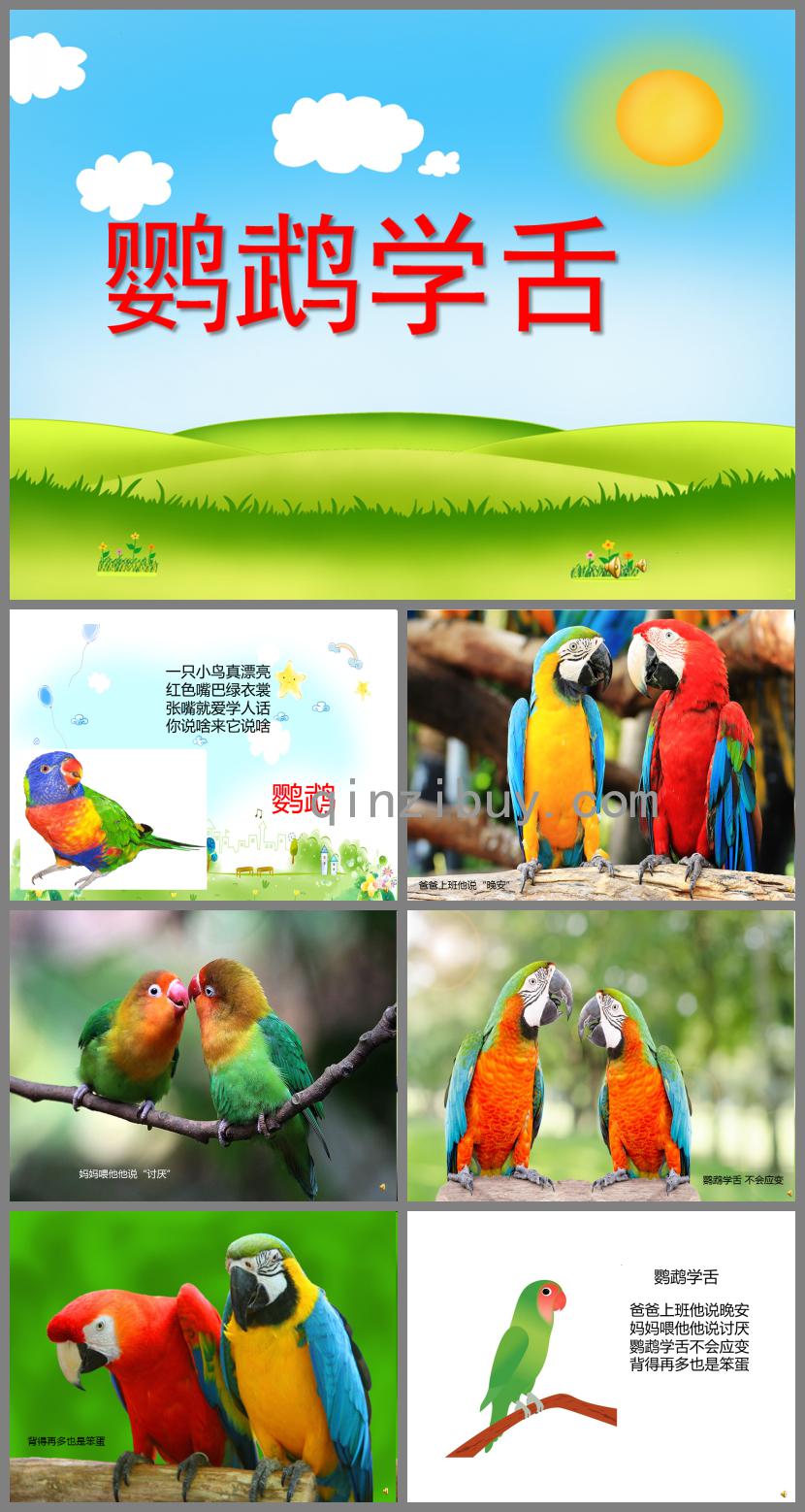 幼兒園動(dòng)物兒歌鸚鵡學(xué)舌PPT課件配音音樂