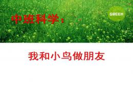 中班科學我和小鳥做朋友PPT課件