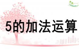 大班數學5的加法運算PPT課件