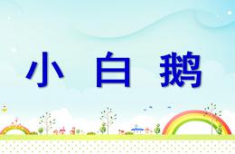 小班語言兒歌小白鵝PPT課件
