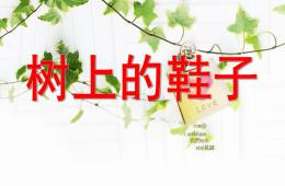 小班語言故事樹上的鞋子PPT課件