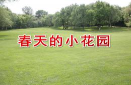 小班美術(shù)春天的小花園PPT課件