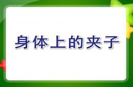 中班科學探索活動身體上的夾子PPT課件