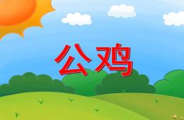 幼兒園動物兒歌公雞PPT課件配音音樂