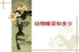 中班科學動物睡姿知多少PPT課件