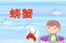 中班科學螃蟹PPT課件