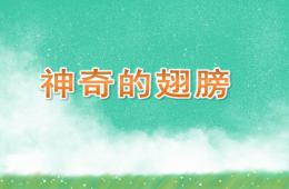 中班科學神奇的翅膀PPT課件