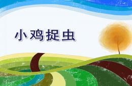 小班數學小雞捉蟲PPT課件
