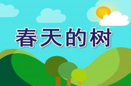 中班春天的樹PPT課件