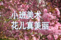 小班美術花兒真美麗PPT課件