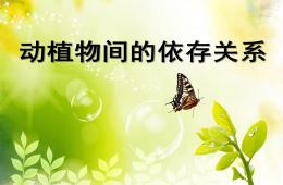 大班語言動植物間的依存關系PPT課件