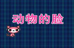 大班美術動物的臉PPT課件
