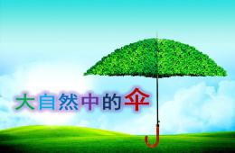 中班科學大自然中的傘PPT課件