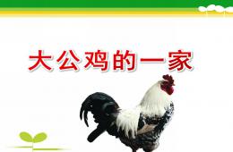 小班活動(dòng)大公雞的一家PPT課件